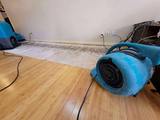 Professional Water Removal technician working in Castine, ME